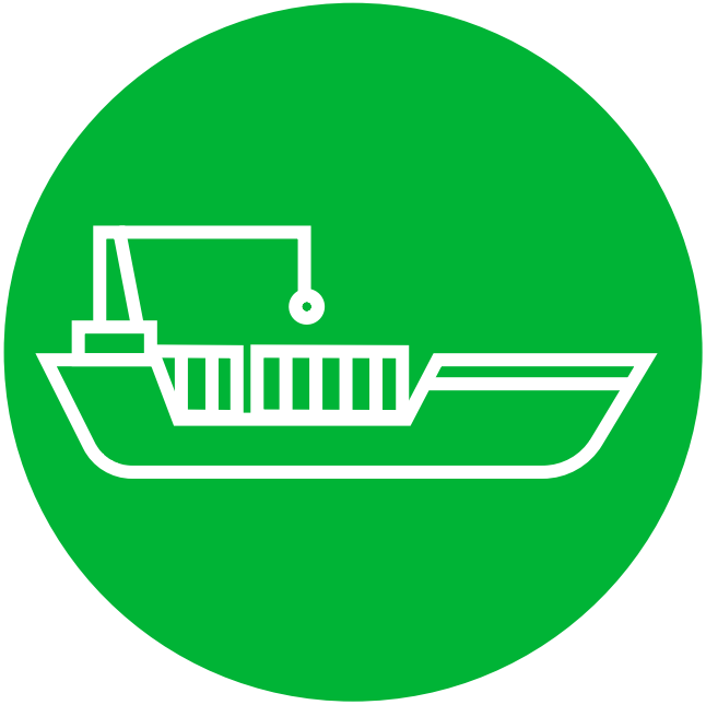 Exportación