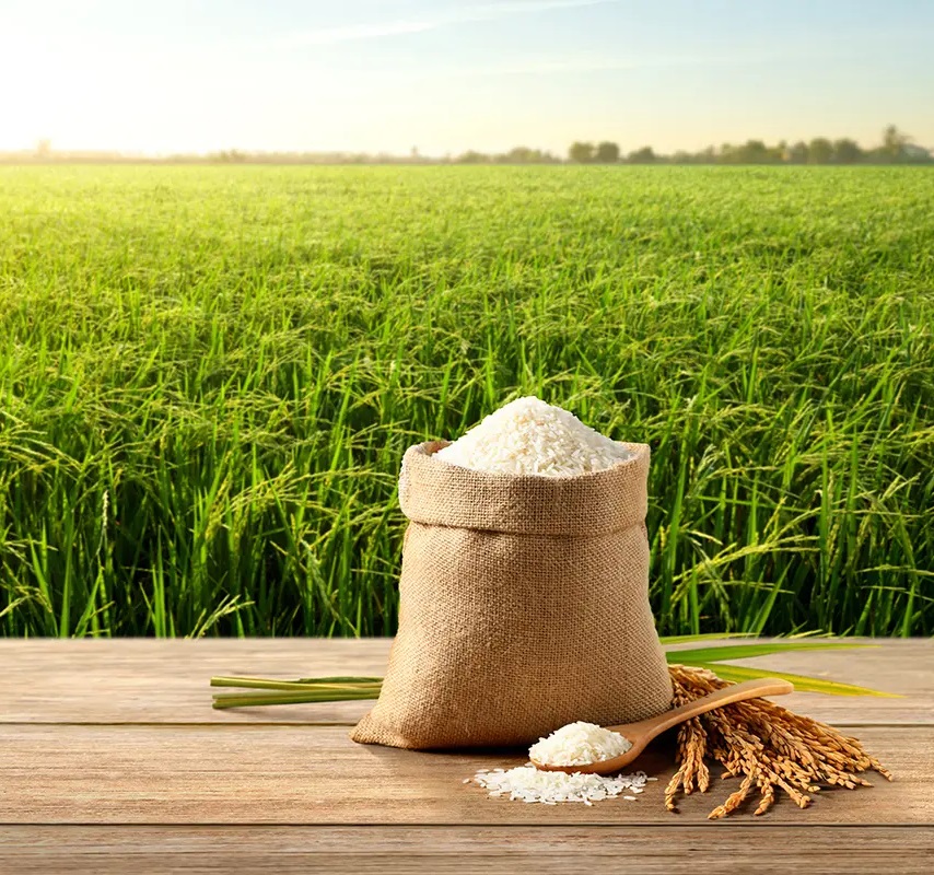 Imagen de arroz