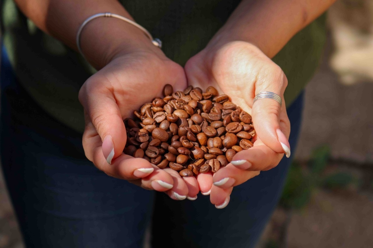 Café en Grano